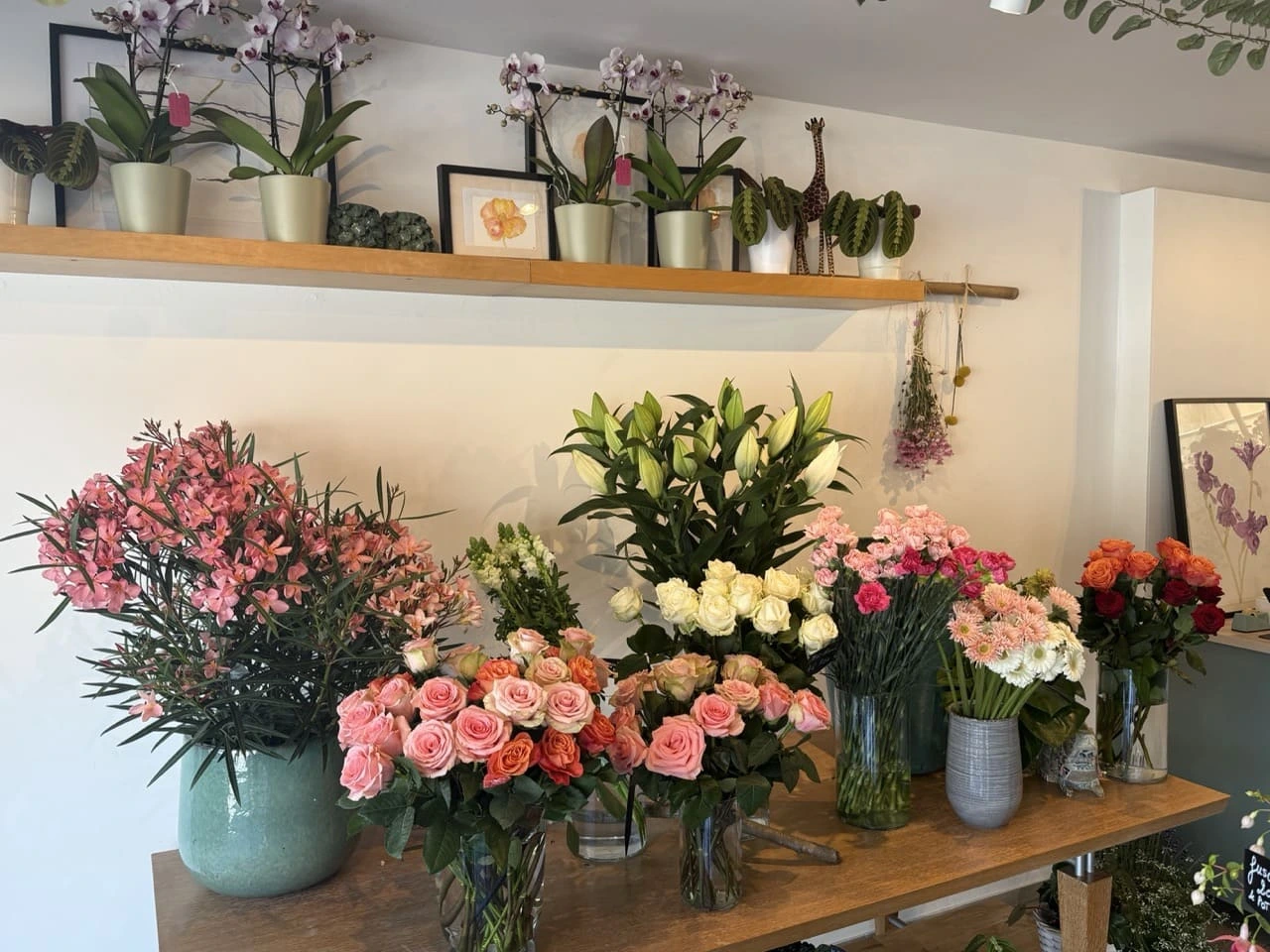 La boutique Amalisa, 2 rue de la Gare, Vaires-sur-Marne